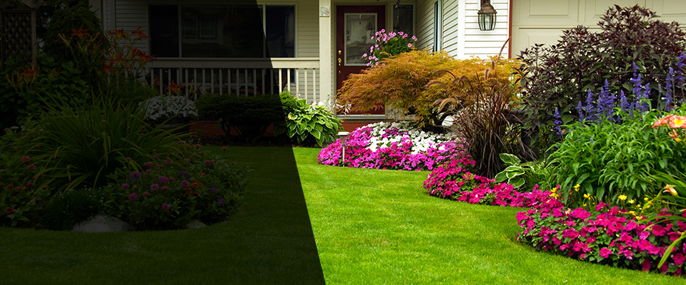 Mitchell Landscapers