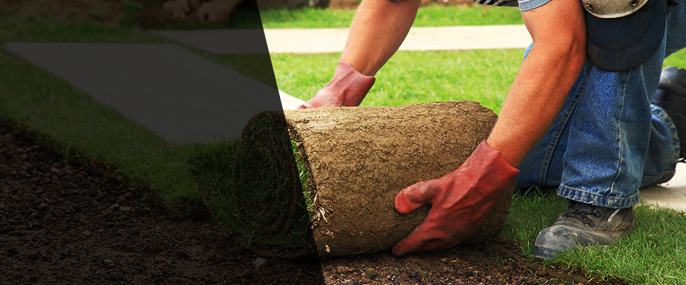 Mitchell Landscapers